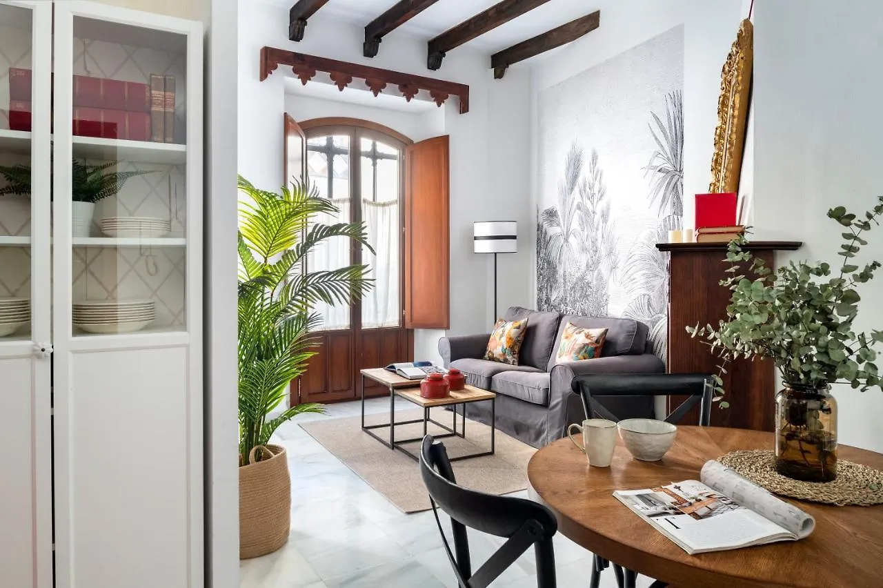 Hernando Colon Suite Apartments Sevilla